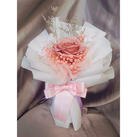 Blush Pink 50k