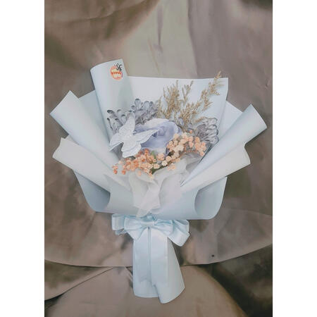 Blush Blue and Butterfly 55k